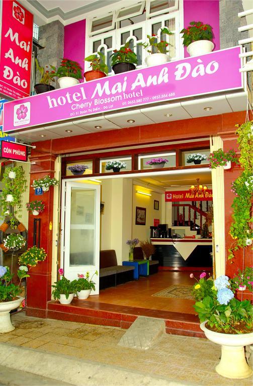 Mai Anh Dao Hotel Dalat Exterior foto